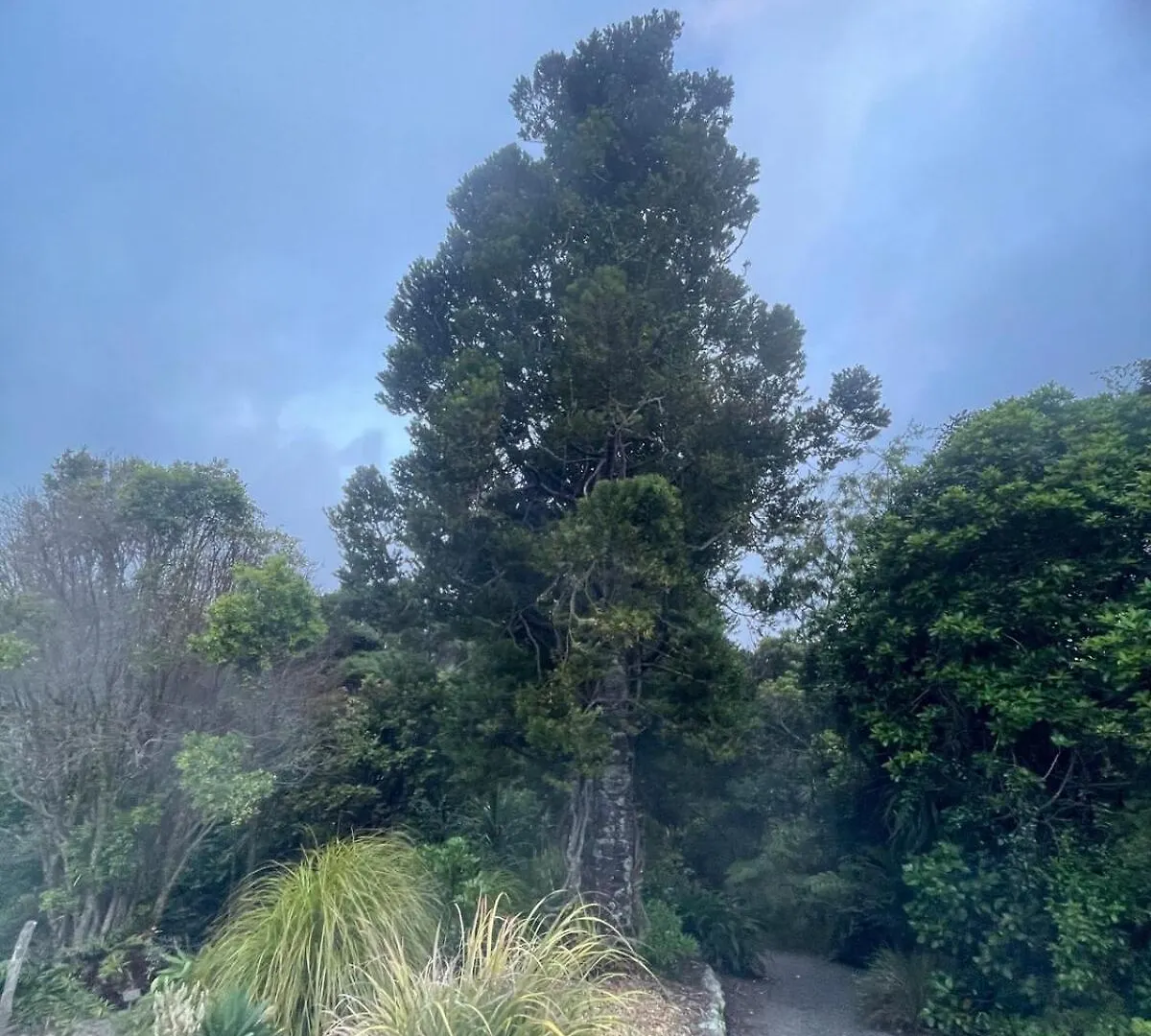 Appartamento Garden Flat In The Bush Wellington